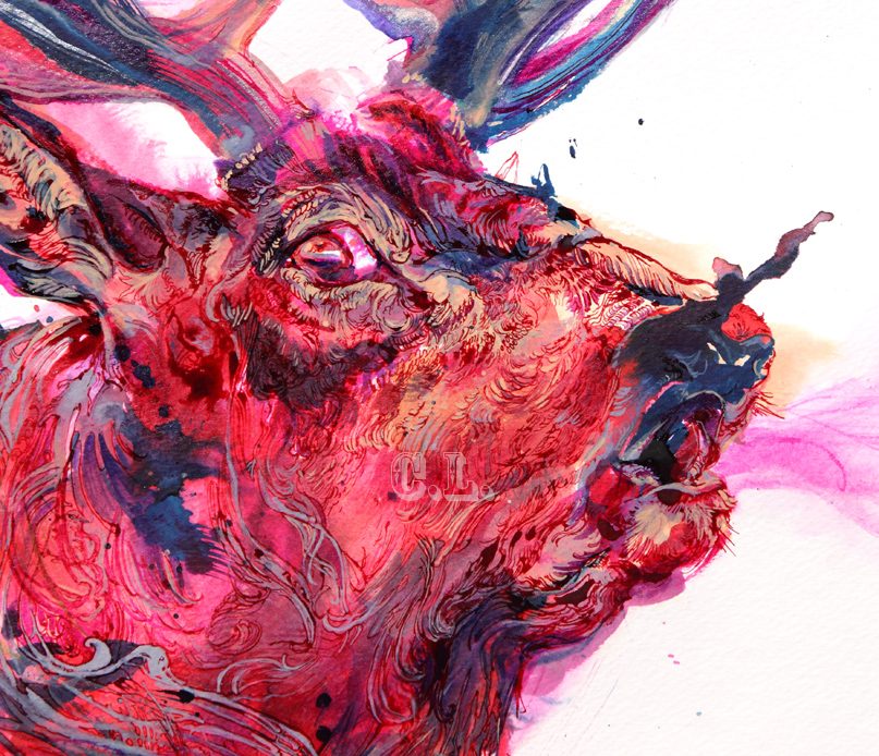 stag_2_blog_cl