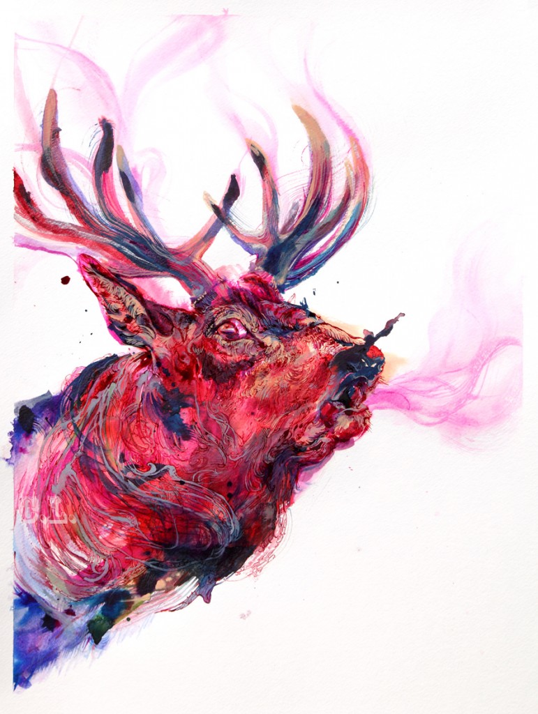 stag_blog_cl